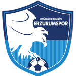 Erzurum logo