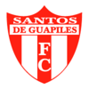 Santos DG logo